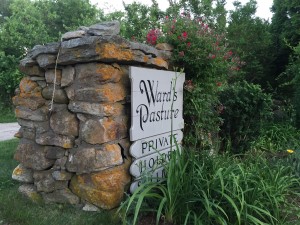 Wards Pasture Rock Report