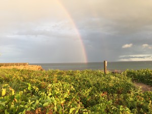 Rock Report Double Rainbow