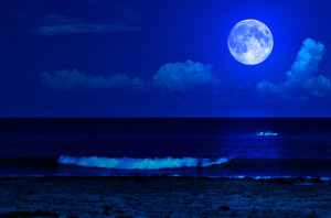 Rock Report Blue Moom