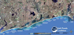 Salt Ponds Coalition