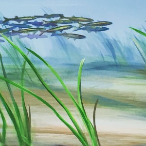 Underwater Mural