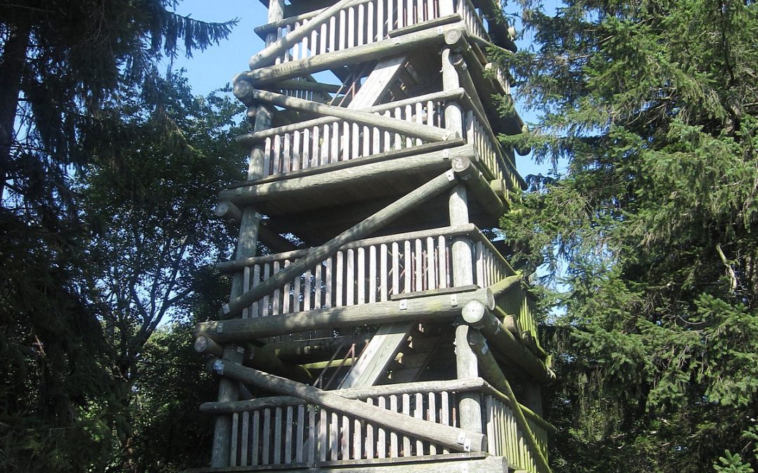 Hannah Robinson Tower