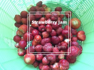 Earth Care Farm Strawberry Jam