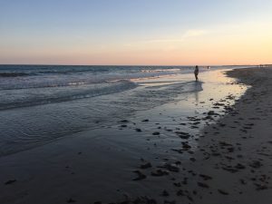 Seaweed Landing