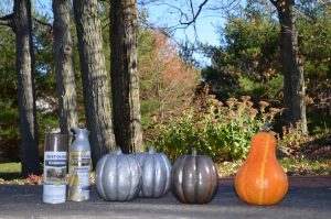 Rust-Oleum Painted Gourds