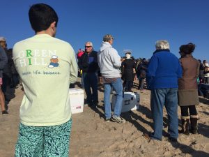 Polar Bear Plunge