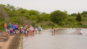 Salt Pond Safari
