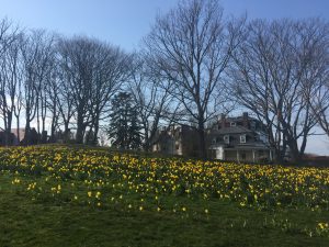 Daffy Days 5th Anniversary Festival in Newport, Rhode Island