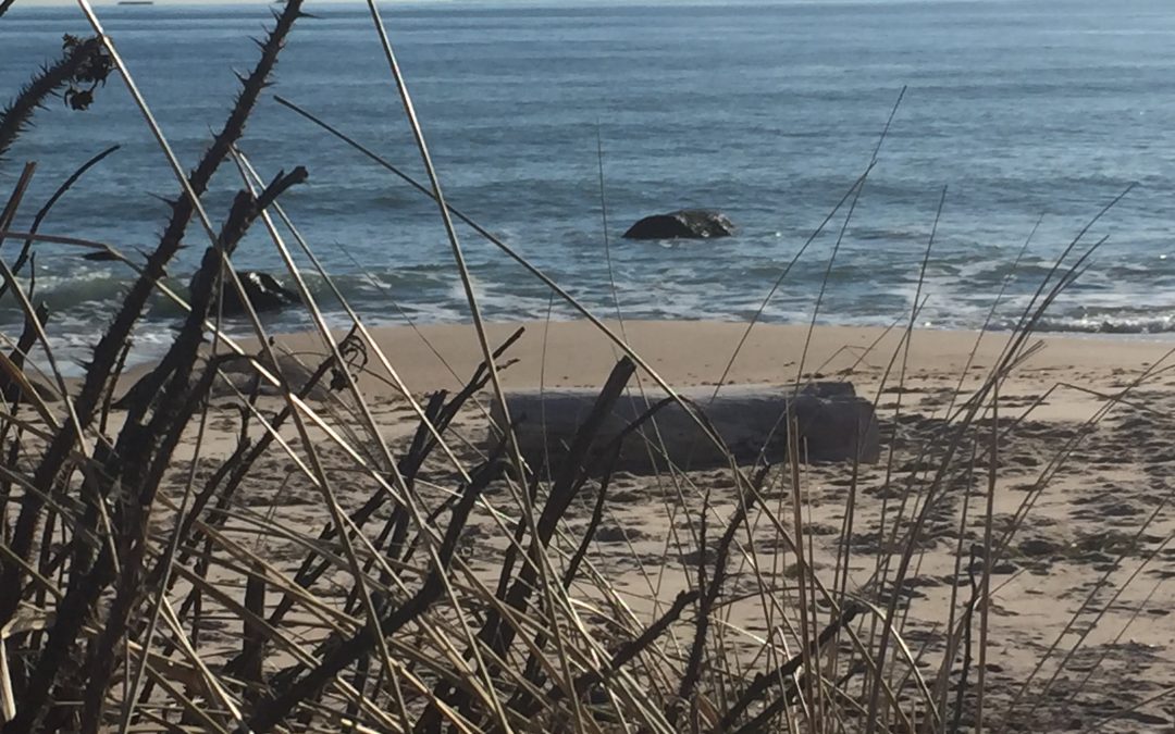 Barrier Beach