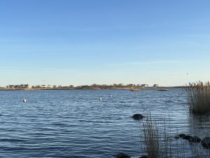Salt Ponds Coalition